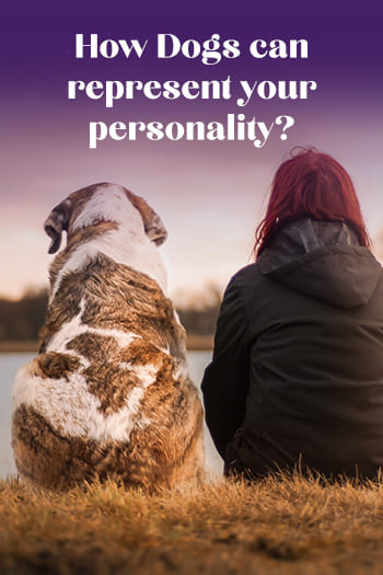 How Dogs can represent your personality