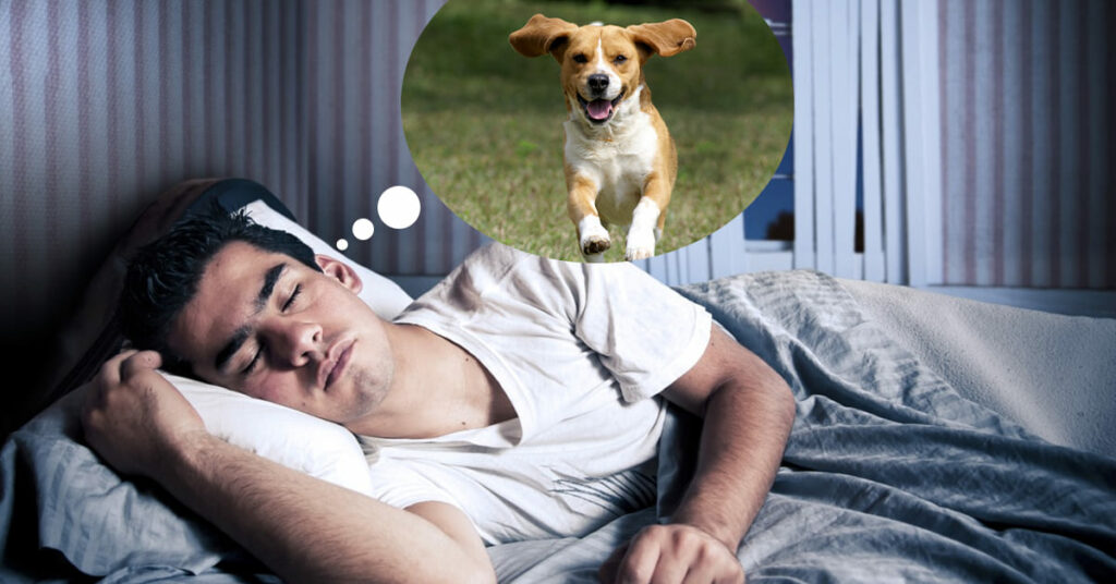 What does it mean when you dream about dogs