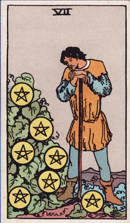 Seven_Of_Pentacles